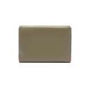 Coccinelle Metallic Soft Medium Laurel Green E2MW5116601G35